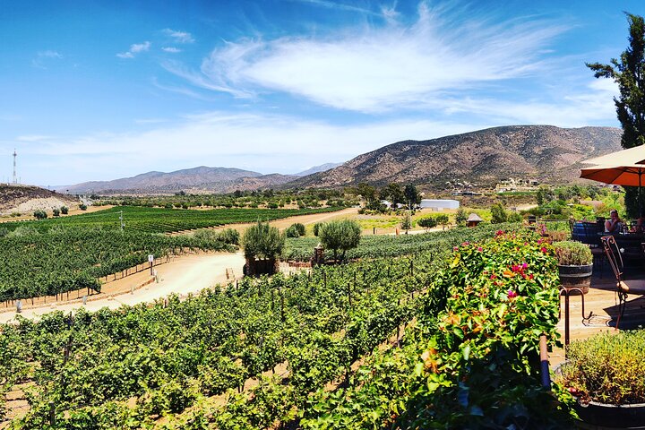 The best wine from San Diego to Valle de Guadalupe