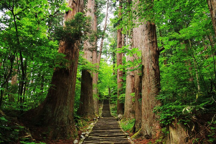 Dewa Sanzan & Tsuruoka in 1 Day Tour with Licensed Guide