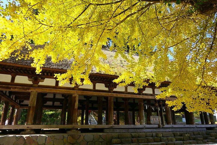 Kitakata Customized Half-Day Tour with Licensed Local Guide