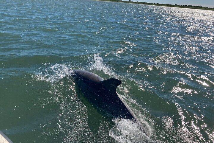 OC Bay Hopper - Assateague Island Cruise