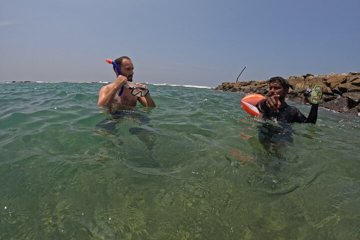Snorkeling with Turtles in Mirissa