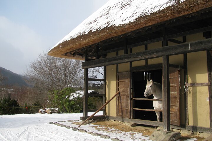 Tono Folk Villages Customized Tour with Licensed Guide