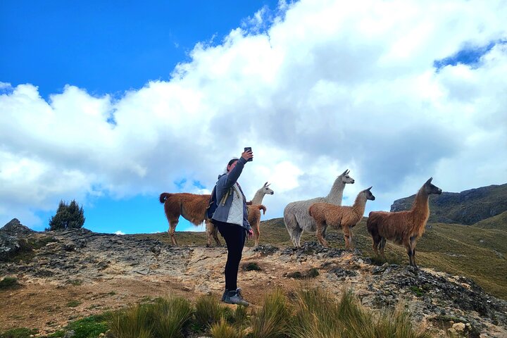 Cajas Unveiled: A Half-Day Escape from Cuenca