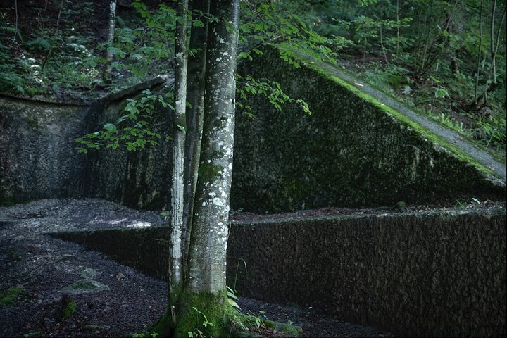 Berchtesgaden-Obersalzberg Private Half Day WWII Historical Tour