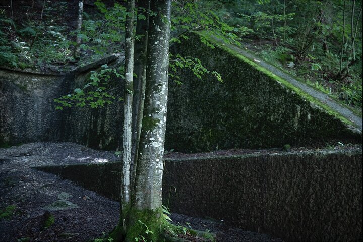 Eagle's Nest-Berchtesgaden-Obersalzberg Private Half Day WWII Historical Tour