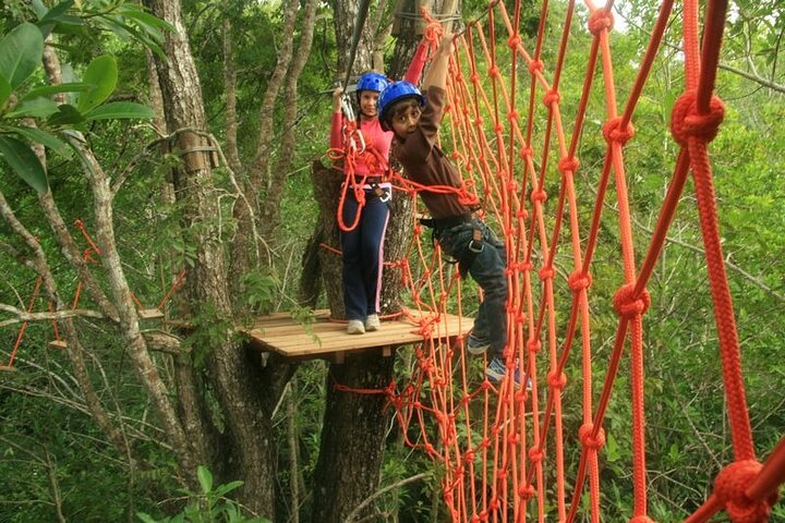 Tree Climbing In Bonito