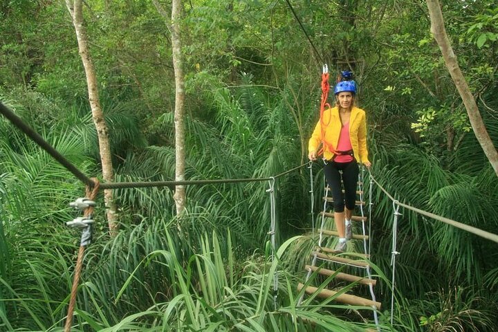 Tree Climbing In Bonito