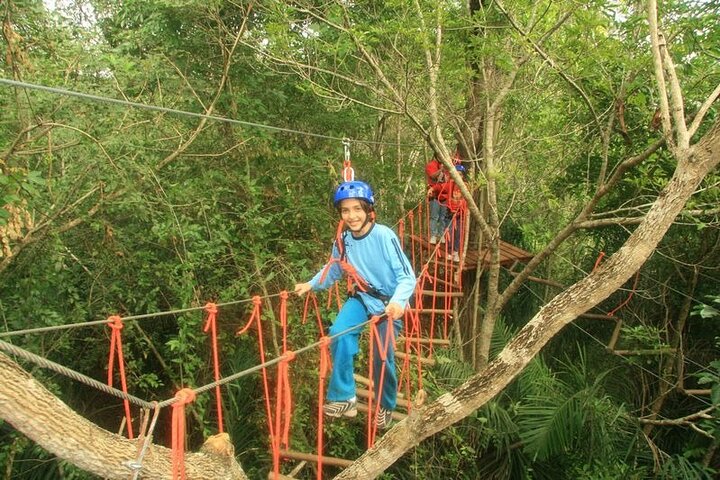 Tree Climbing In Bonito
