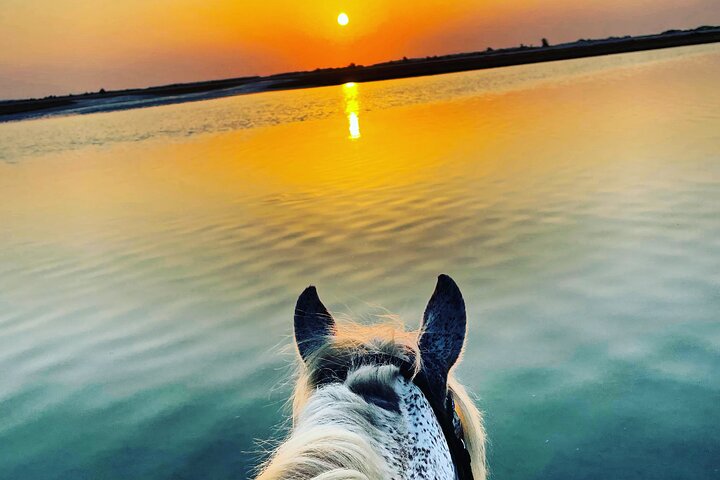 Horseback riding at sunrise 3h