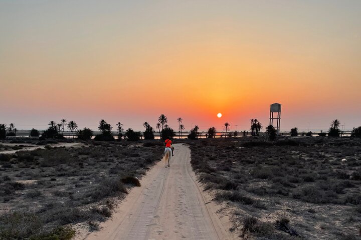 Horseback riding at sunrise 3h