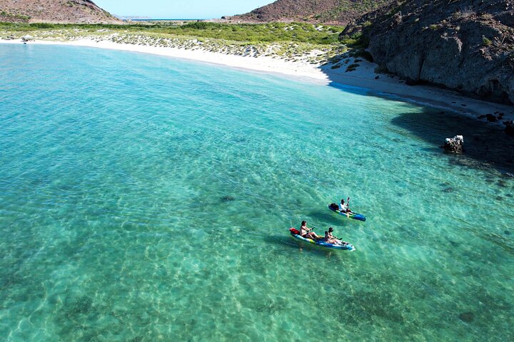 Balandra adventure: sea lions, kayak, and hike in paradise
