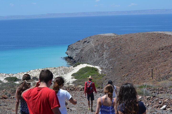 Balandra adventure: sea lions, kayak, and hike in paradise