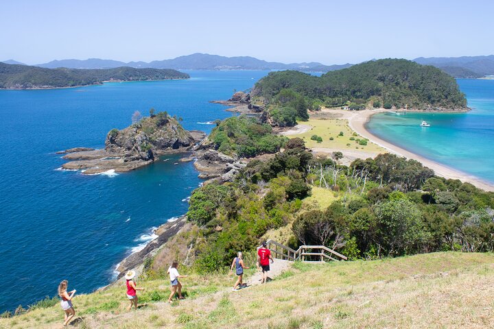 3 Hours // Hole in the Rock Cruise & Bay of Islands Tour