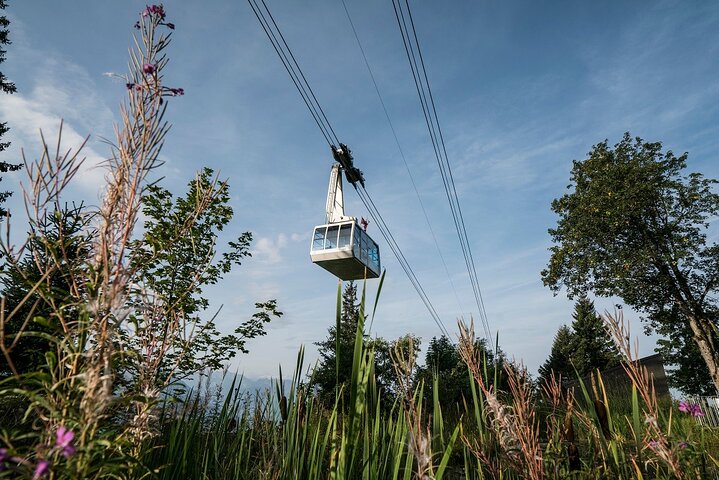 Mount Rigi Day Trip from Lucerne