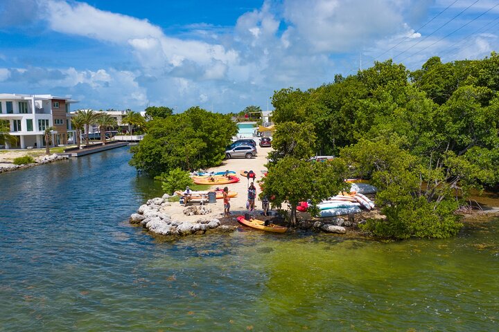 Mangroves and Manatees - Guided Kayak Eco Tour