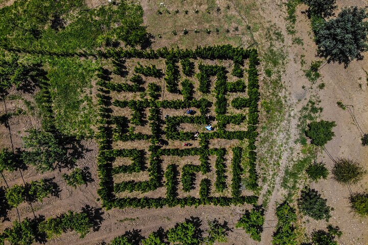 Guided tour from Palermo: Sicilian traditions with farm