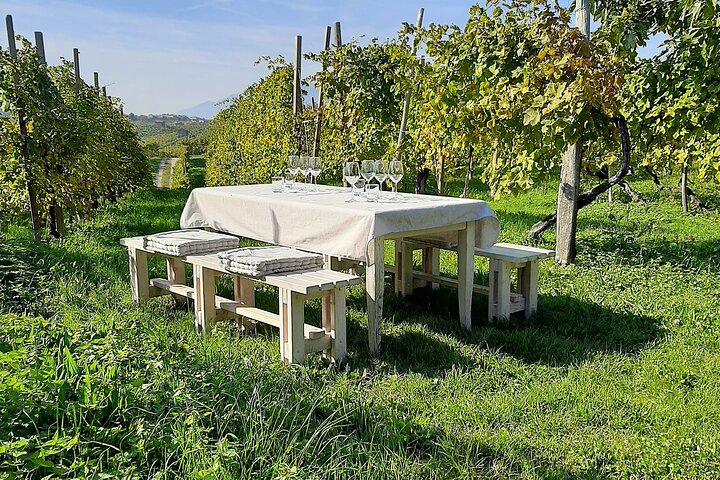 2 Guests Private Prosecco Road Tour All Inclusive from Conegliano