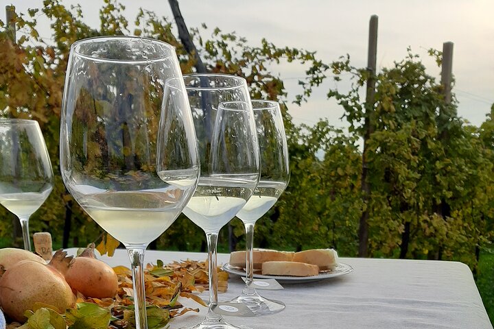 2 Guests Private Prosecco Road Tour All Inclusive from Conegliano