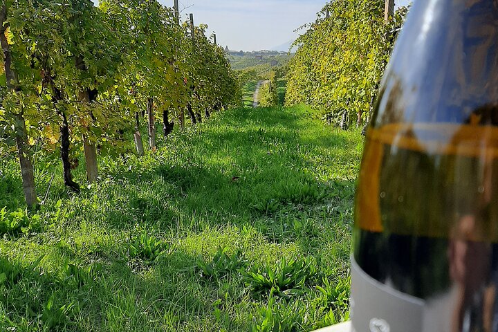 2 Guests Private Prosecco Road Tour All Inclusive from Conegliano