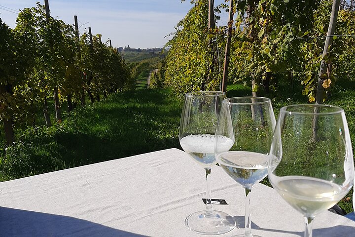 2 Guests Private Prosecco Road Tour All Inclusive from Conegliano