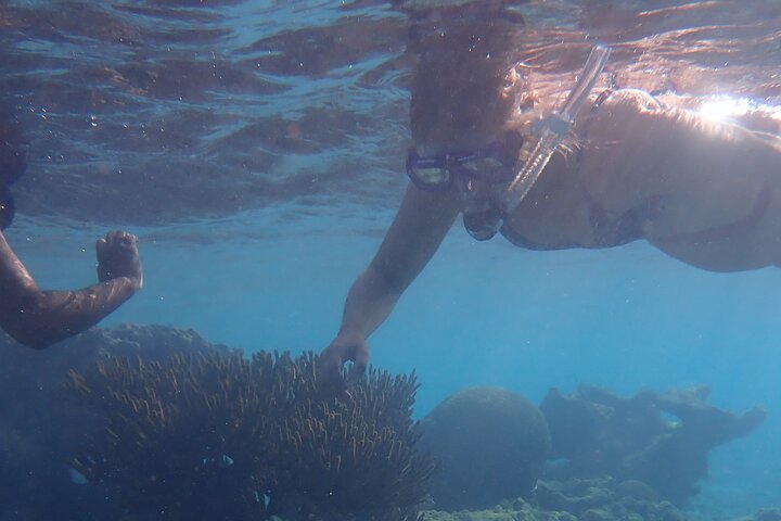 Snorkel marathon