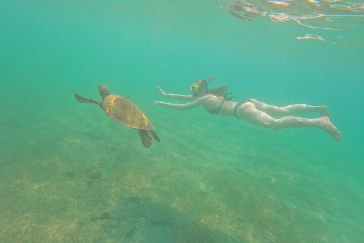 Snorkeling with Turtles in Mirissa