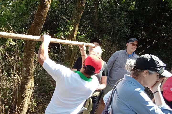 Hike to Pacaya Volcano from Antigua