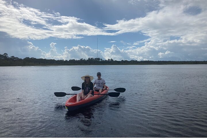New Smyrna Dolphin and Manatee Kayak and SUP Adventure Tour