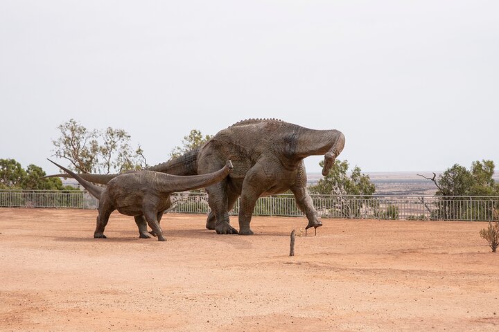 Full Day Winton Discovery Day Tour from Longreach