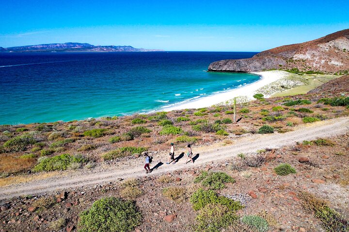 Balandra adventure: sea lions, kayak, and hike in paradise