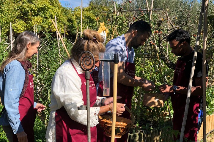 Organic cooking class with a sommelier in an Olive and wine farm