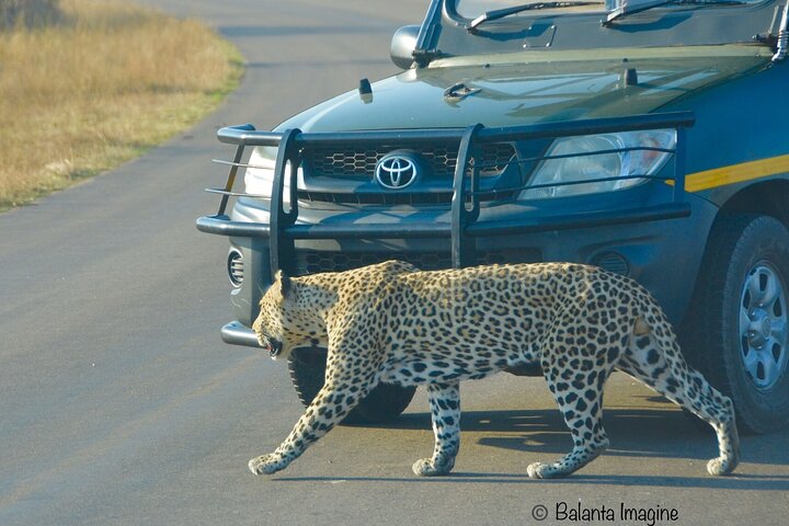 All Inclusive 3 Day Kruger Safari Adventure From Johannesburg