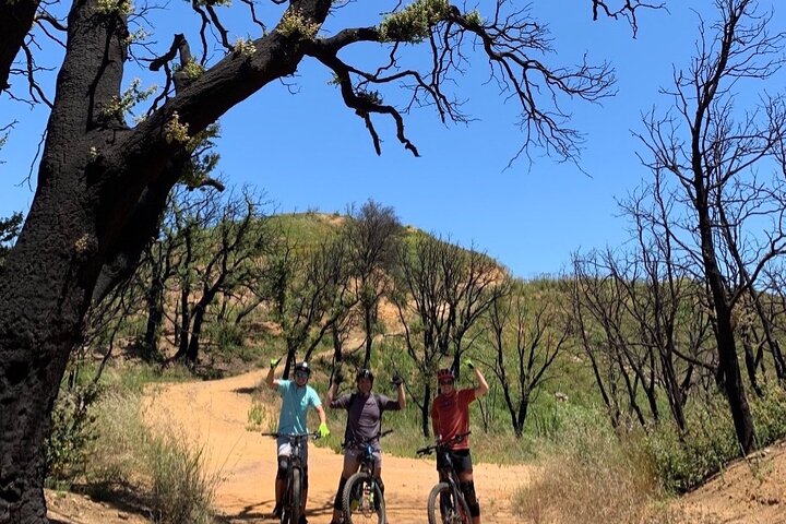 Scenic Malibu Overlook Electric Bike Tour for Beginners
