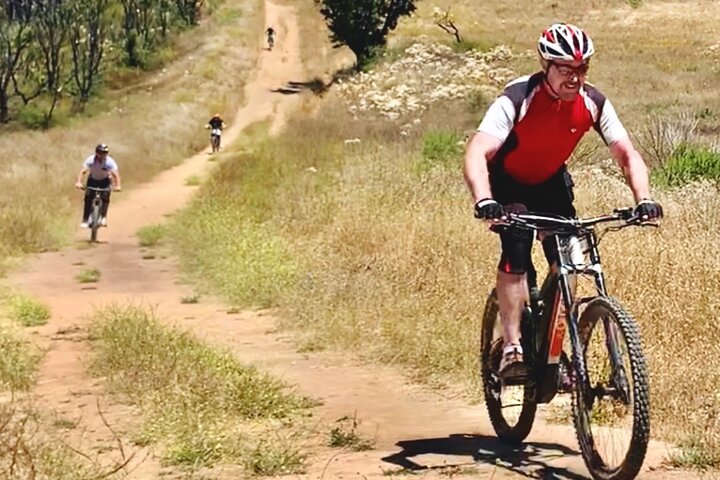 Scenic Malibu Overlook Electric Bike Tour for Beginners