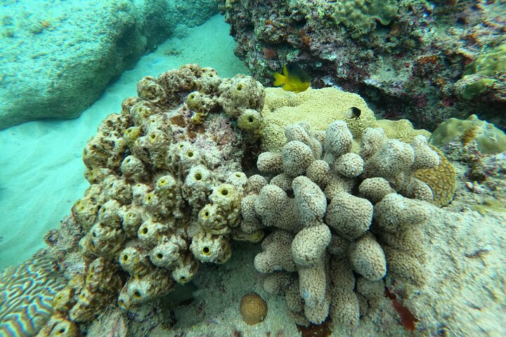 Snorkeling Adventure in Aguadilla