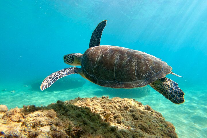 Snorkeling Adventure in Aguadilla