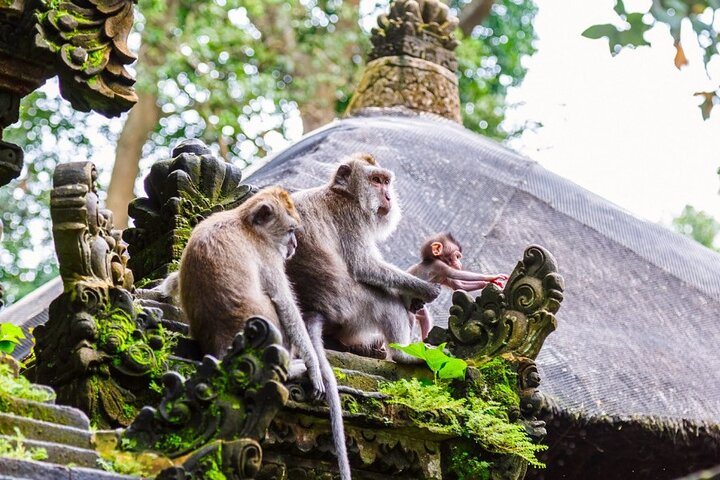 Ubud ATV Ride Through Elephant Cave, Monkey Forest, Waterfall