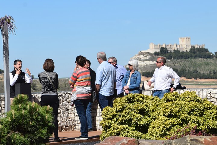 Private day tour Ribera del Duero