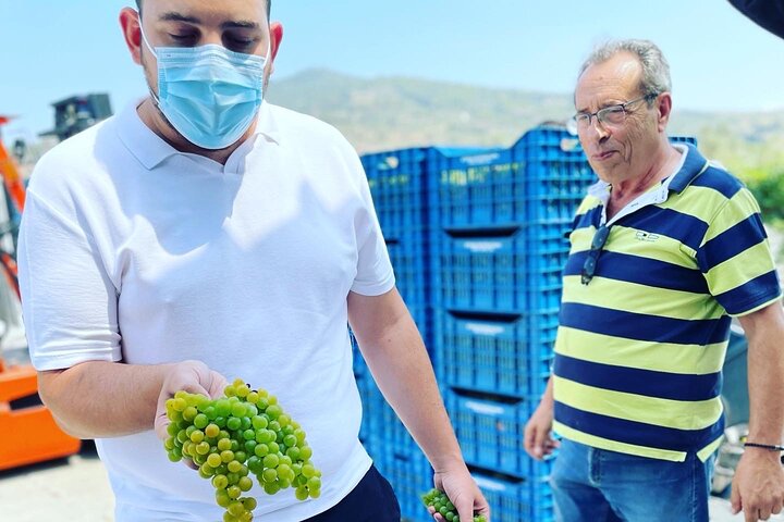 Nemea Wine Tour from Athens, Nafplio or Nemea with Oenologists