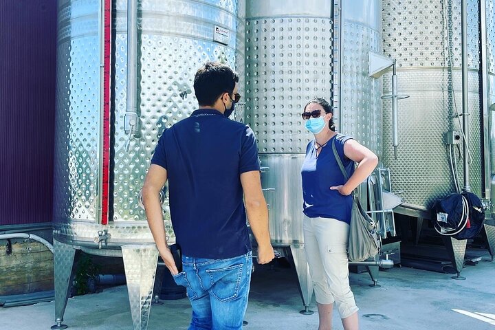 Nemea Wine Tour from Athens, Nafplio or Nemea with Oenologists
