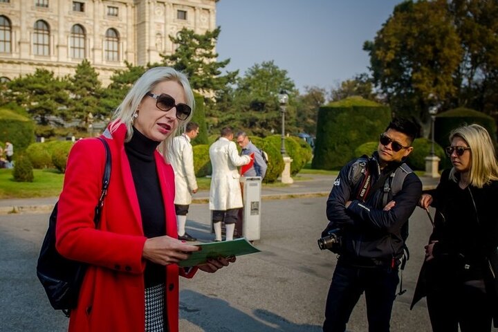 Best of Vienna : Historic Center Walking Tour