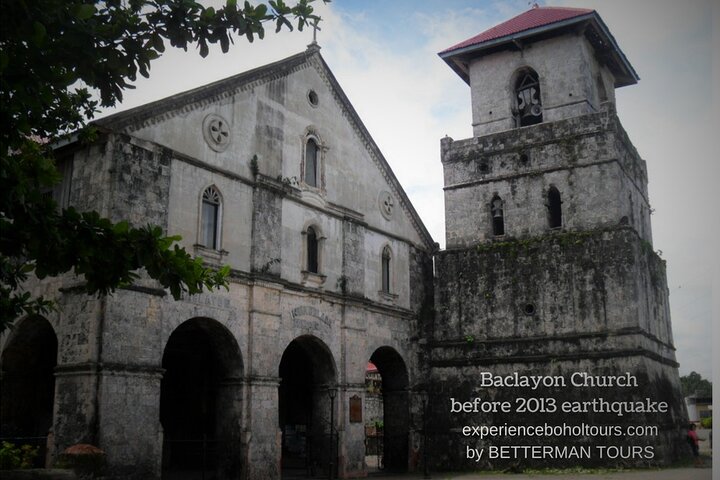 Chocolate hills tour with Tarsier & Loboc river Buffet Lunch (half-day tour)