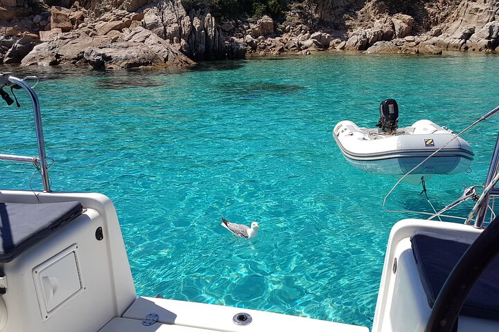 Magdalene Archipelago Sailing Tour | From Santa Teresa