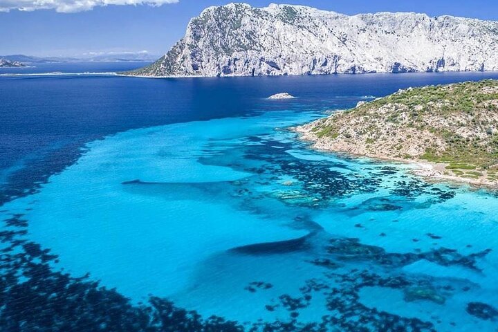 Olbia Catamaran Tour for Dolphin Research and Tavolara Marine Park