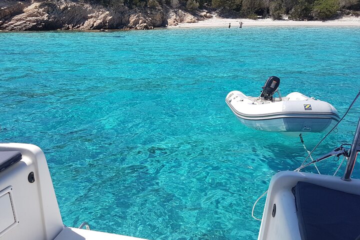 Olbia Catamaran Tour for Dolphin Research and Tavolara Marine Park