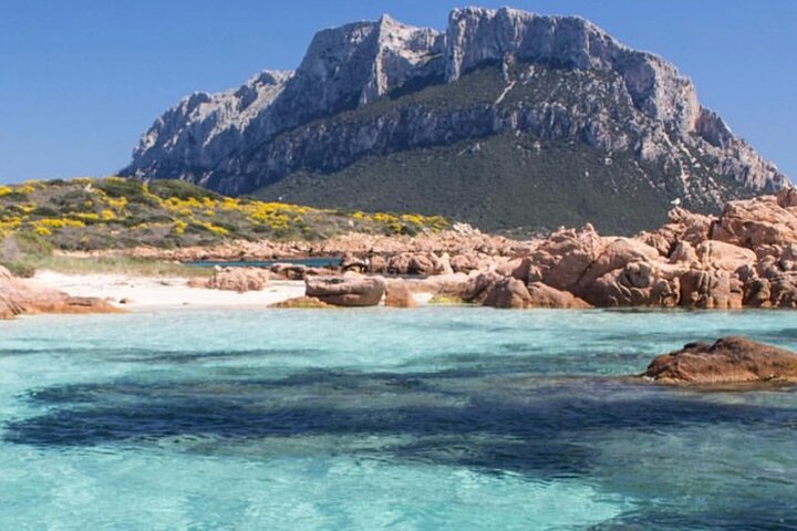 Olbia Catamaran Tour for Dolphin Research and Tavolara Marine Park