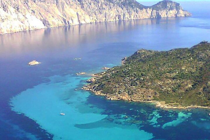 Olbia Catamaran Tour for Dolphin Research and Tavolara Marine Park