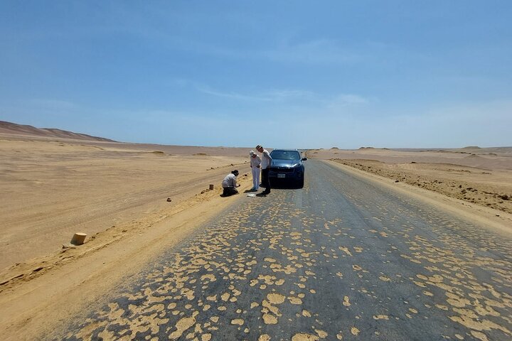 Paracas National Reserve Private Tour from Paracas or Pisco