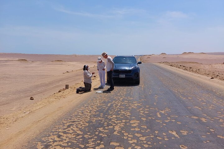 Paracas National Reserve Private Tour from Paracas or Pisco
