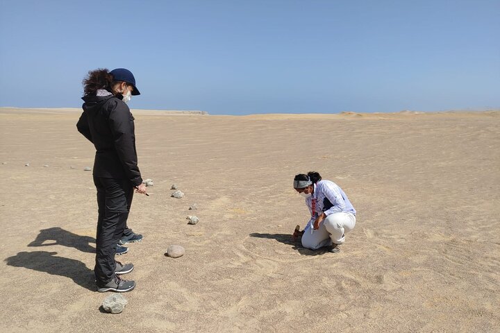 Paracas National Reserve Private Tour from Paracas or Pisco